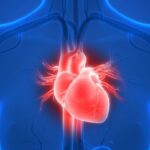 Atrial Septal Defekt nedir?